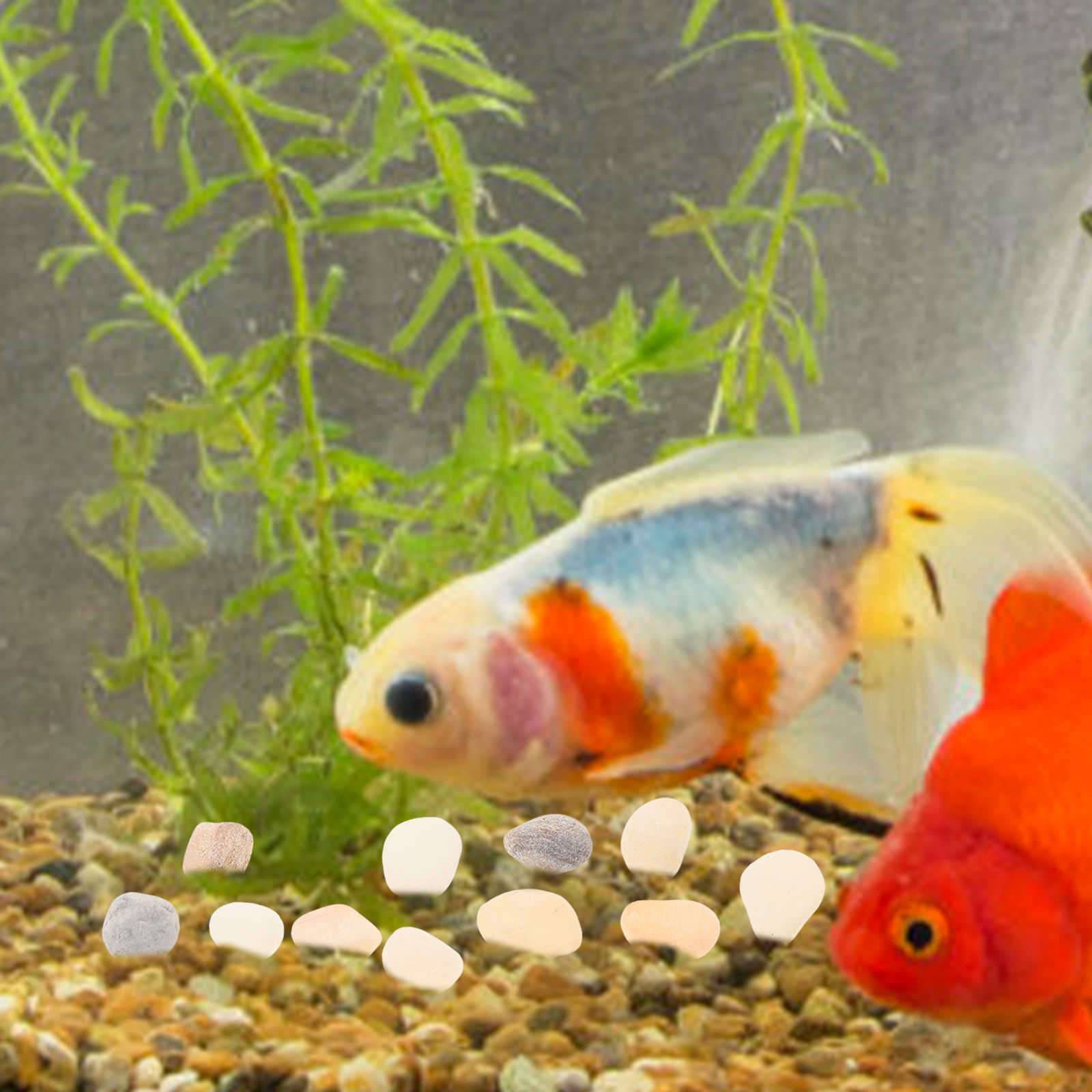 Aquarium Plant Gravel - Natural Landscaping Pebbles Aquarium Fish Tank