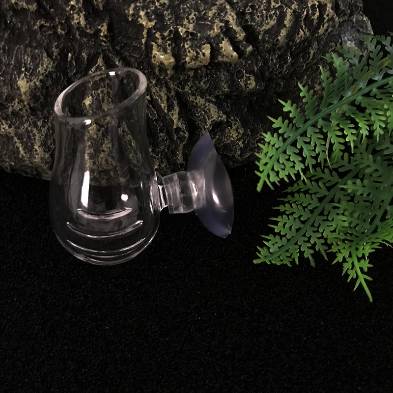 Planted Aquarium Mini - Aquarium Decoration Hanging Fish Tank Mini