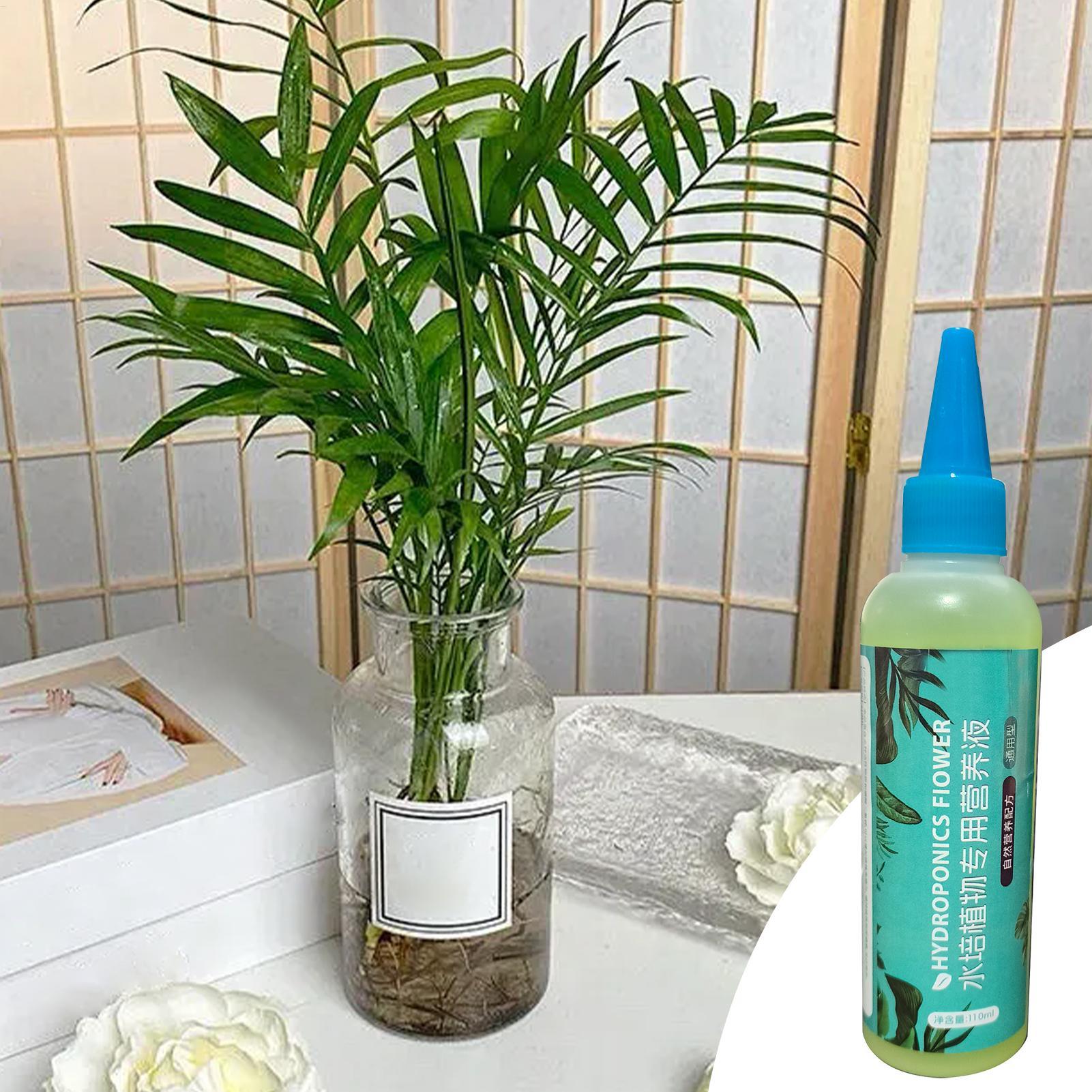 Plant Food for Hydroponics 110 - Liquid Fertilizer All In review and price