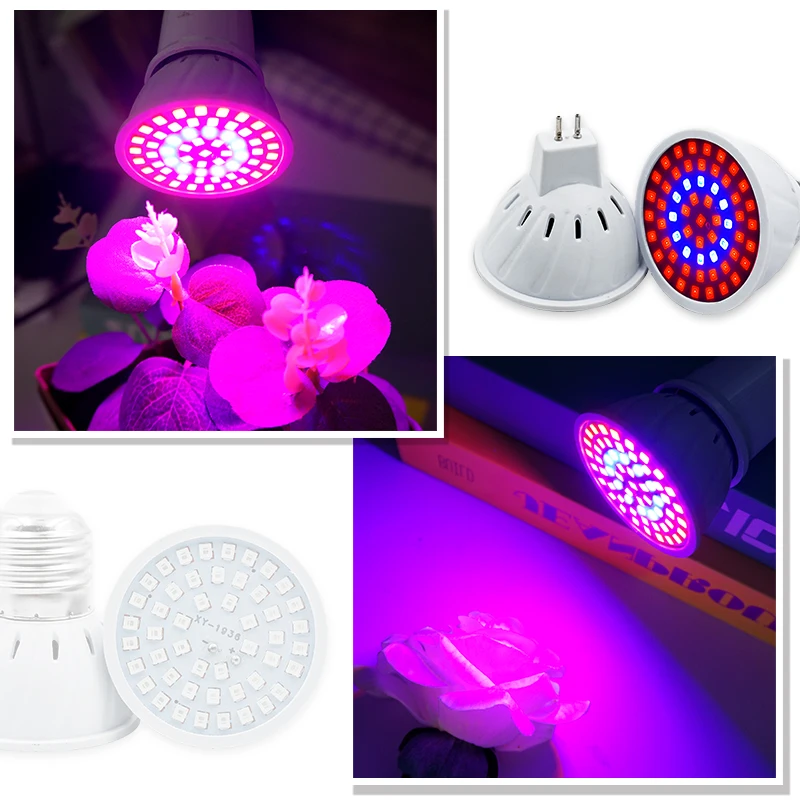 Phyto Lamp Full Spectrum LED G - Led Planted Tank Light review and price
