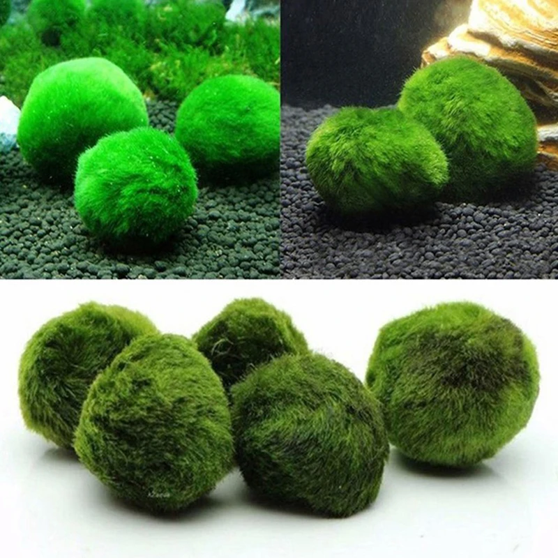 1Pcs 3-4cm Moss Balls Live Aqu - Aquarium Planted Tank Substrate review and price