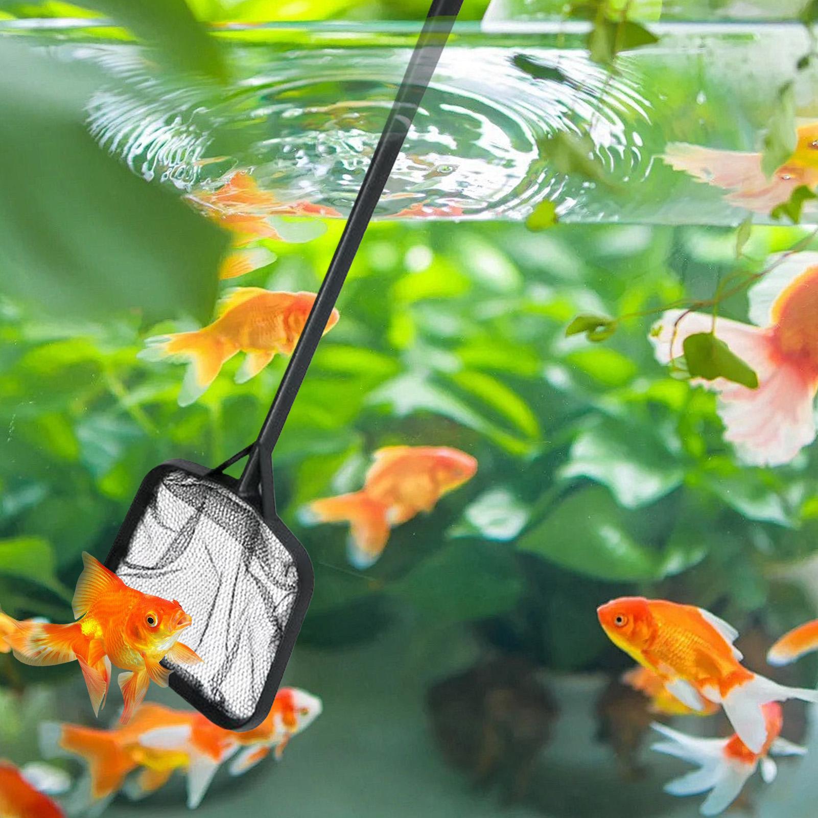 Pool Nets for Cleaning Portabl - Planted Aquarium Cleaning review and price