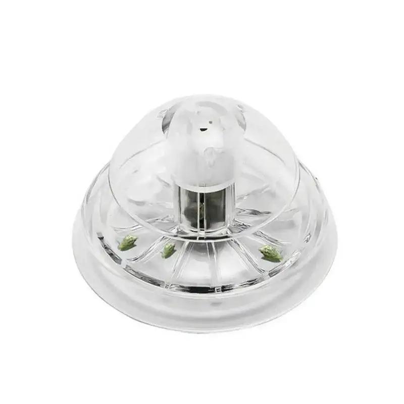 2026 New 6/8CM Clear Plastic S - Planted Aquarium Cleaning review and price