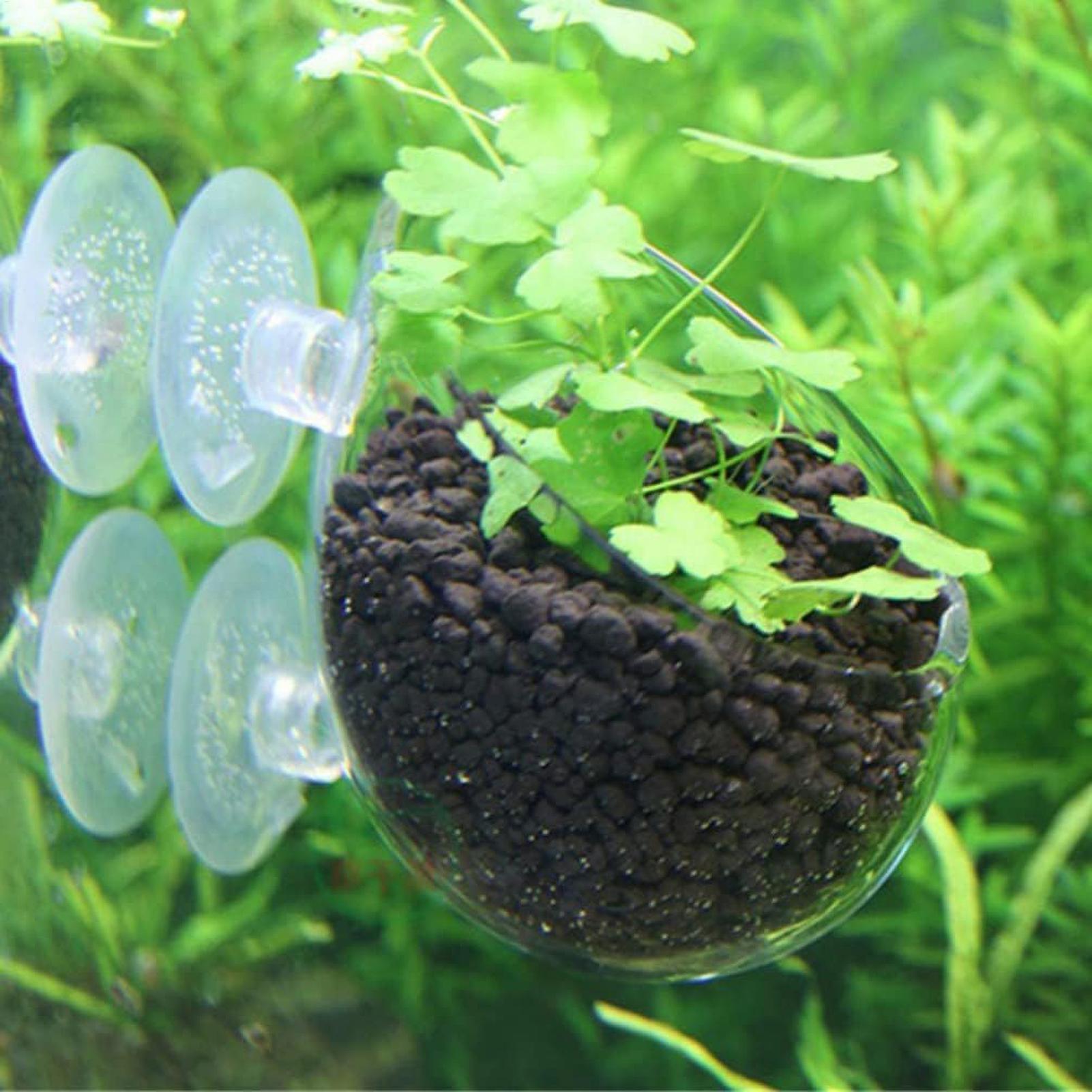 Aquarium Plant Holder Glass Aq - Aquarium Planted Tank Substrate review and price