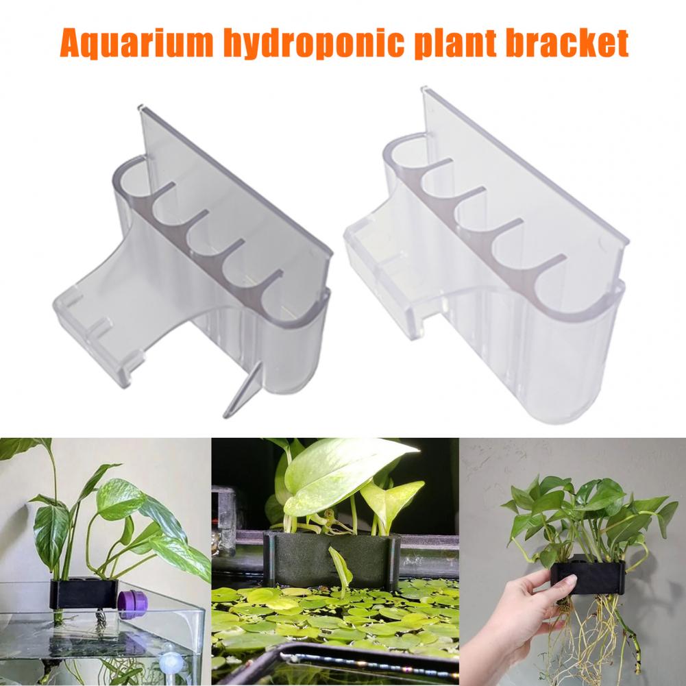 4.5/6.5cm Aquarium Plant Holde - Aquarium Planted Fish Tank review and price