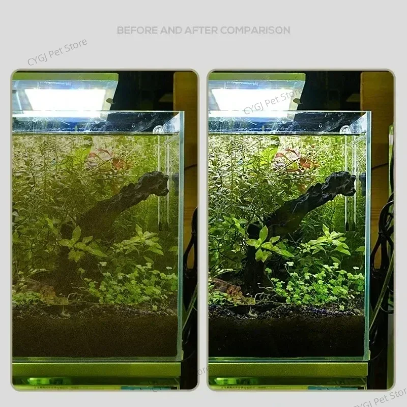 Fish Tank Cleaning Tool Flat S - Planted Aquarium Maintenance Kit review and price