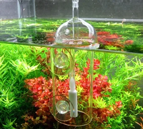 VIV Do Device Aquarium Cylinde - Aquarium Lily Pipe review and price