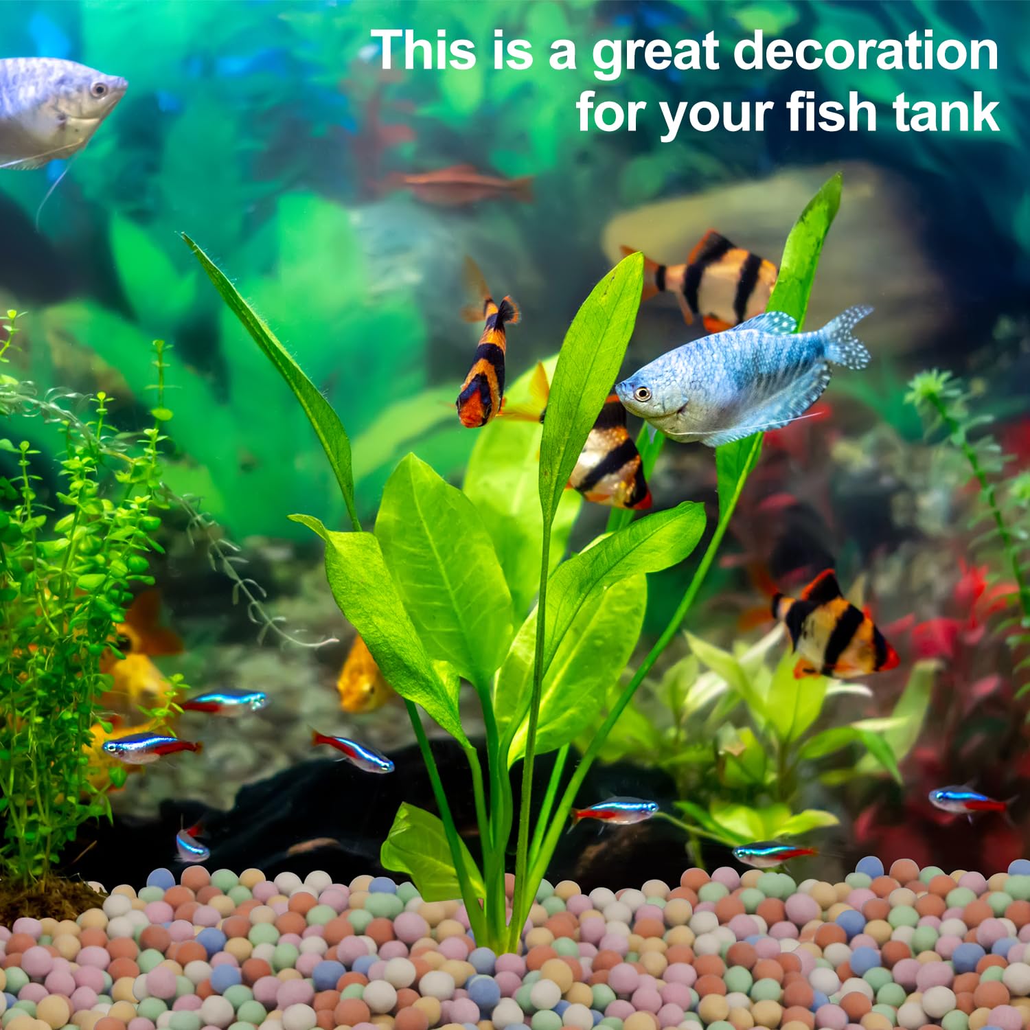 Hydroponic Plant Decorative Co - Aquasoil Substrate review and price
