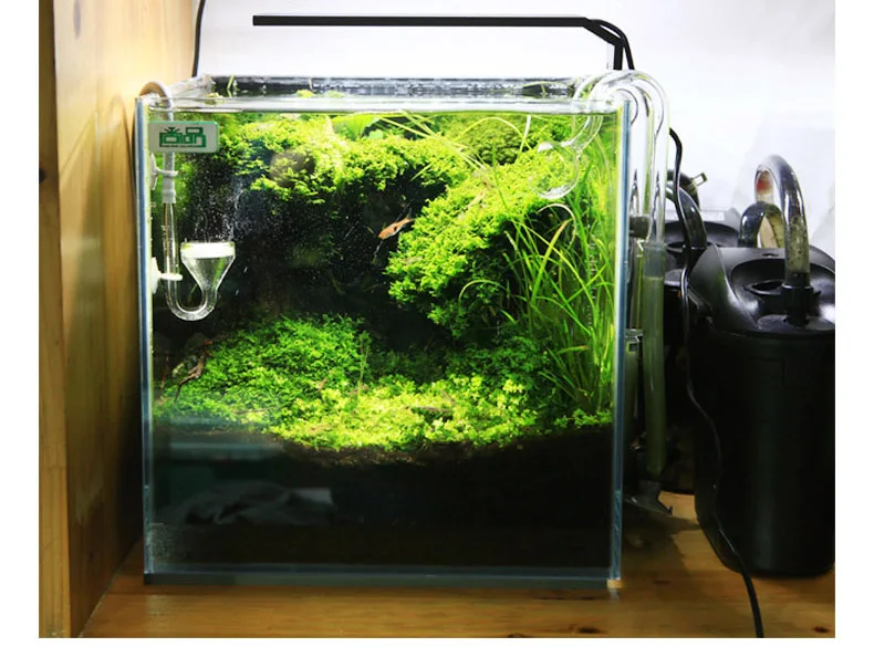 Chihiros C Series ADA Style Pl - Planted Aquarium Mini review and price