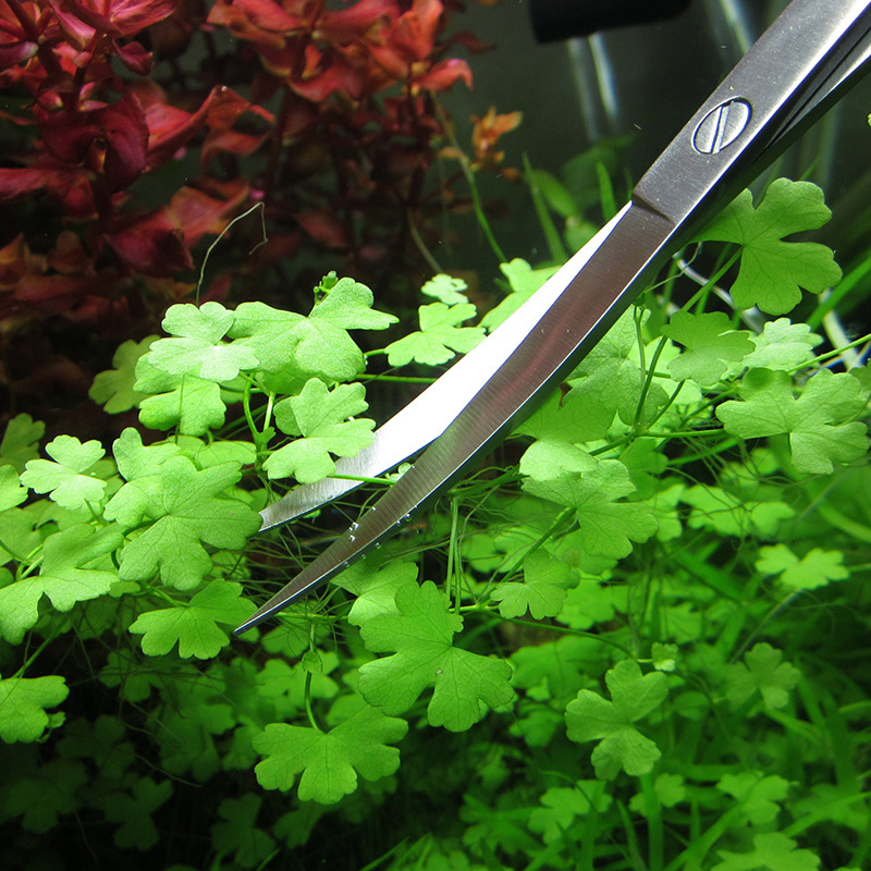 Aquarium Accessories Hard Stai - Planted Aquarium Maintenance Kit review and price