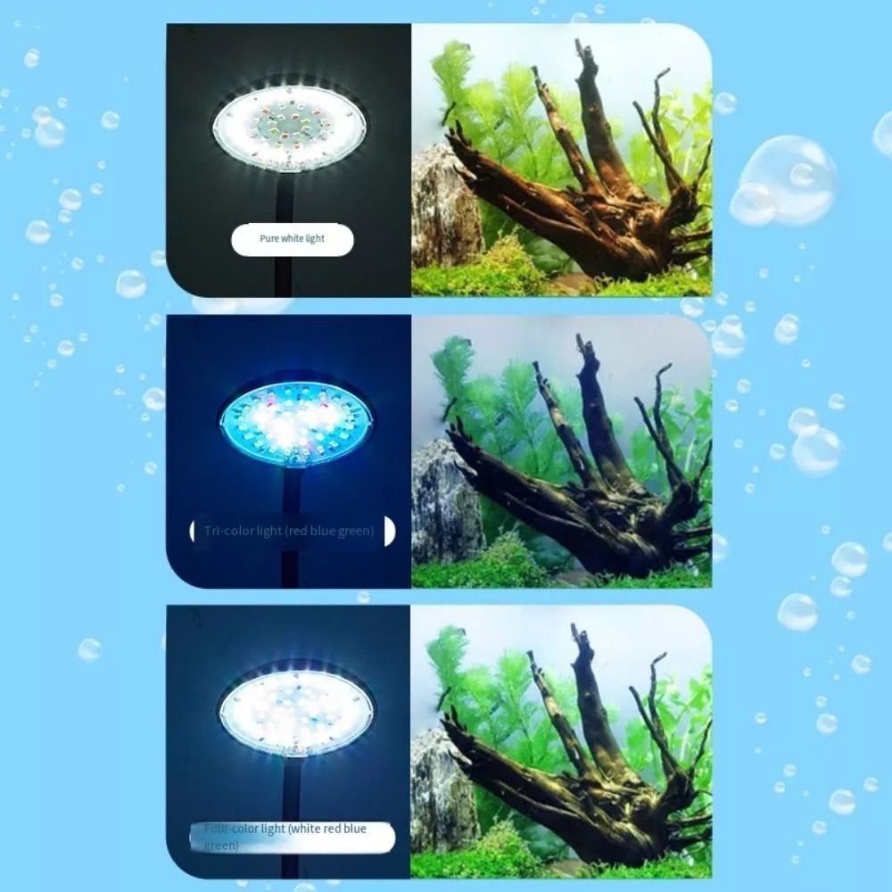 New Mini Fish Tank Clip Lamp 5 - Planted Aquarium Mini review and price