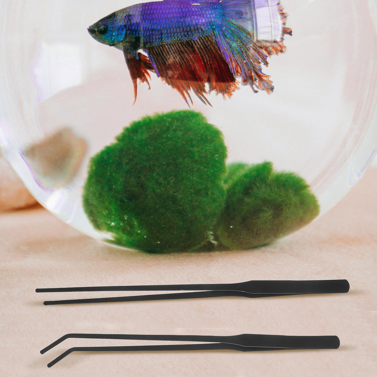4pcs Aquarium Tweezers Stainle - Planted Aquarium Maintenance Kit review and price