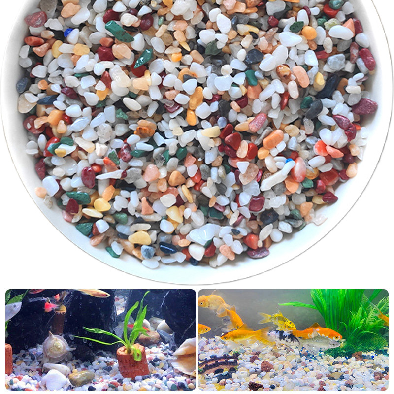 Natural Gravel Stone 200~1000g - Aquarium Plant Gravel review and price