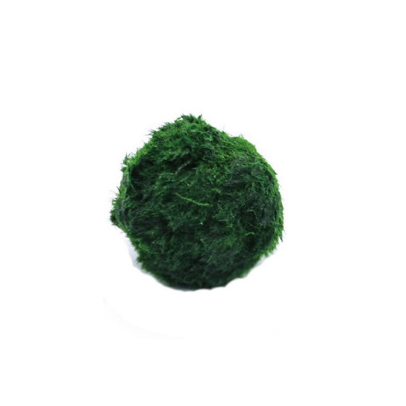 Marimo Moss Balls Live Aquariu - Aquarium Planted Tank Substrate review and price