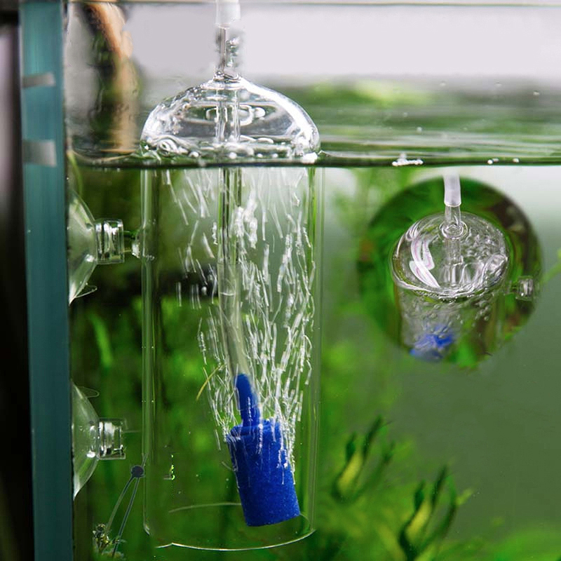 5Pcs Aquarium Cylinder Shape A - Aquarium Lily Pipe review and price