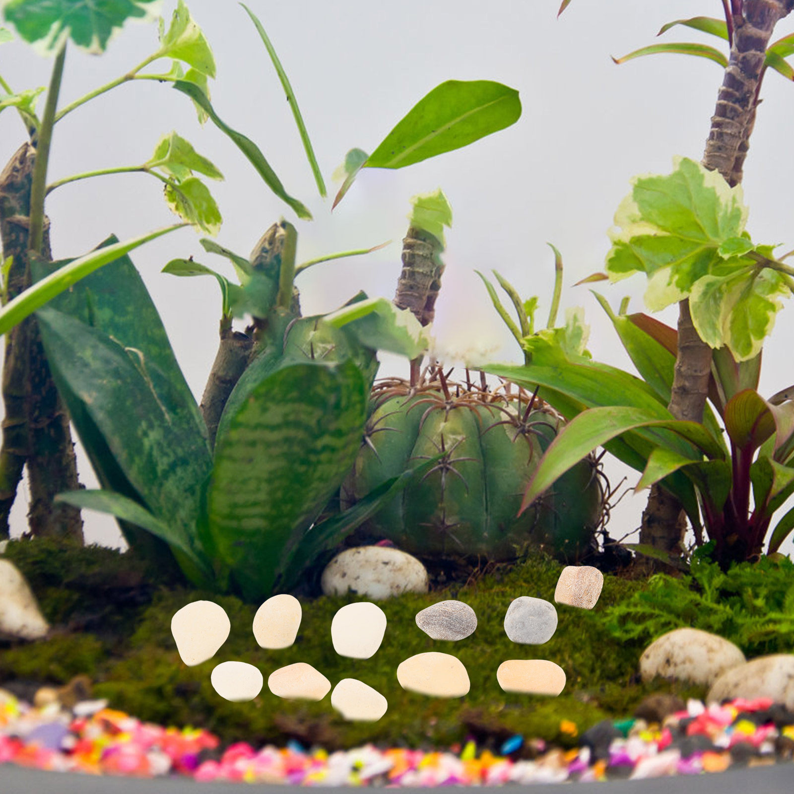 Natural Landscaping Pebbles Aq - Aquarium Plant Gravel review and price