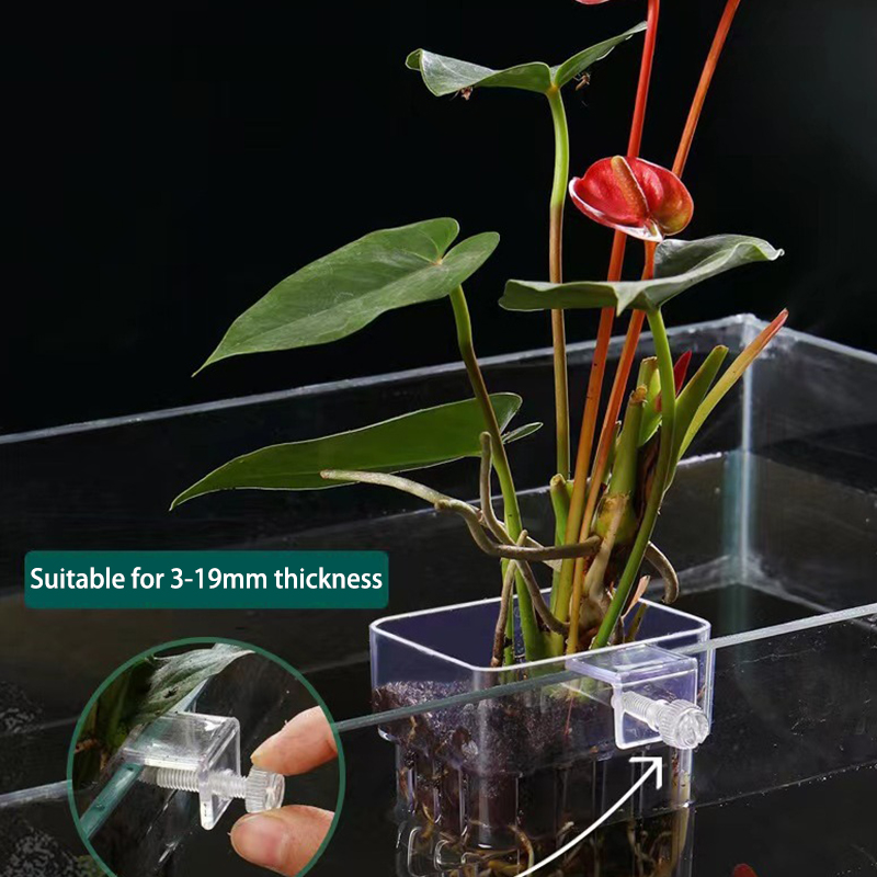 Multifunctional Fish Aquarium  - Aquarium Planted Fish Tank review and price