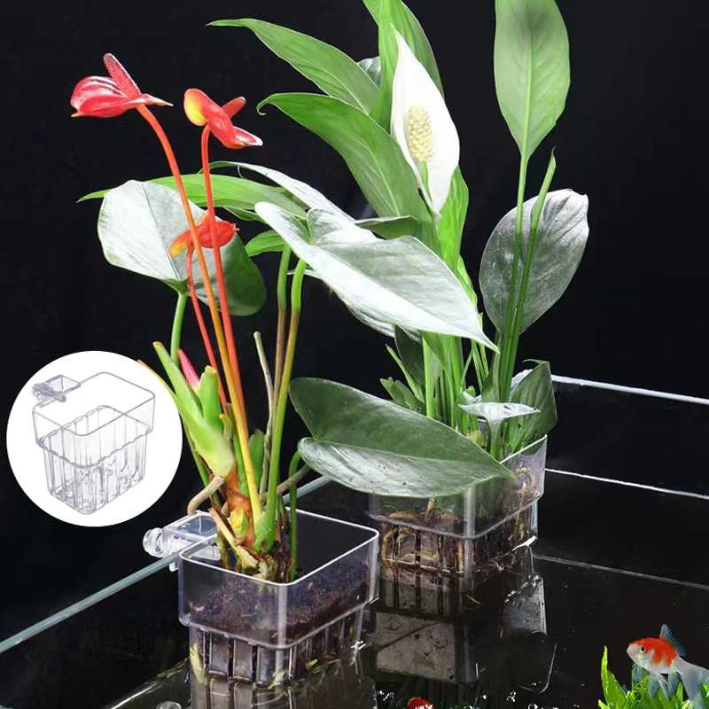 Multifunctional Fish Aquarium  - Aquarium Planted Fish Tank review and price