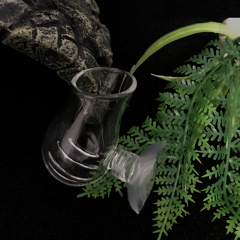 Aquarium Decoration Hanging Fi - Planted Aquarium Mini review and price