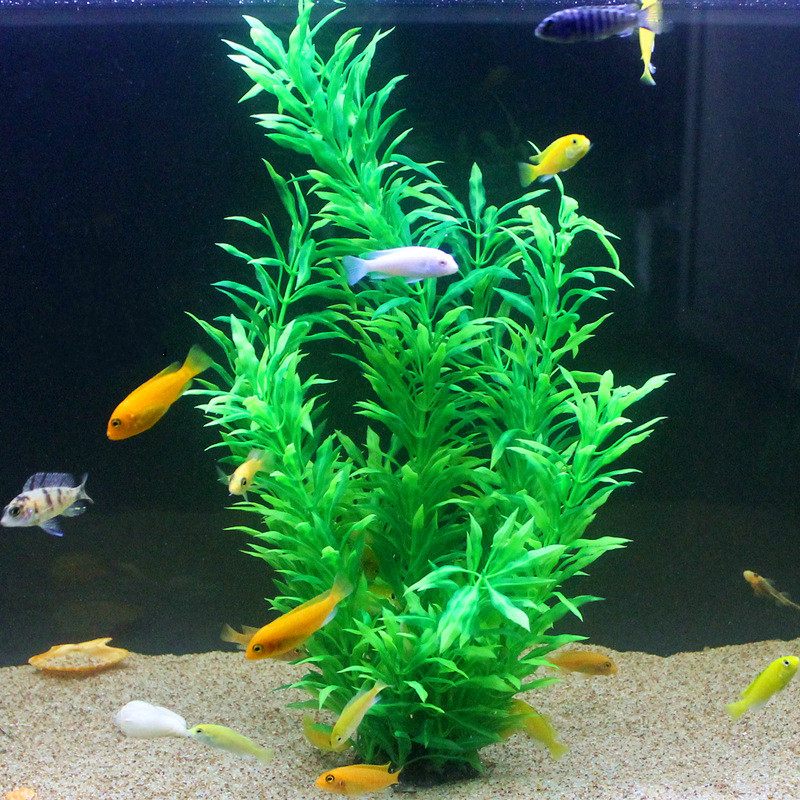 50CM Artificial Fish Tank Rare - Aquarium Planted Fish Tank review and price