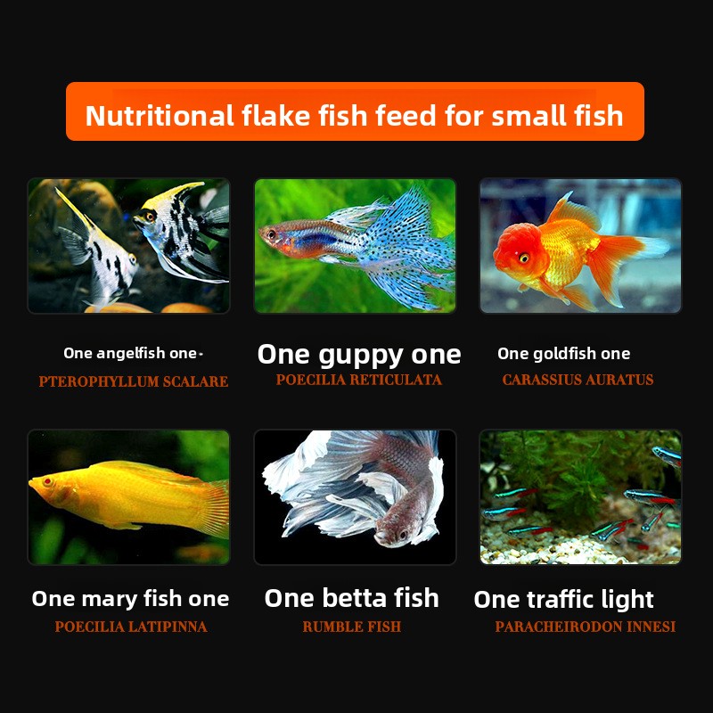 DaJiaWa Spirulina Flake Fish F - Tetra Food Goldfish Flakes review and price