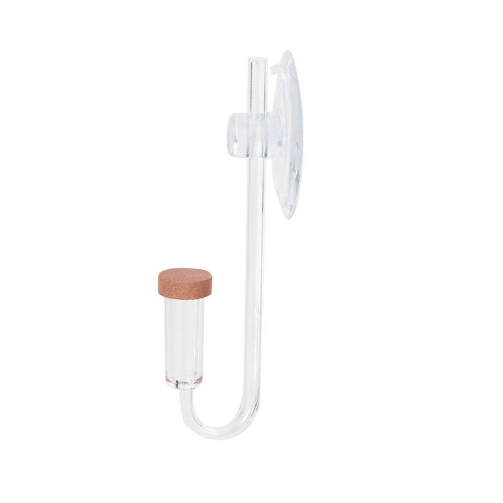 Acrylic Mini Fish Tank Live Pl - Planted Aquarium Mini review and price