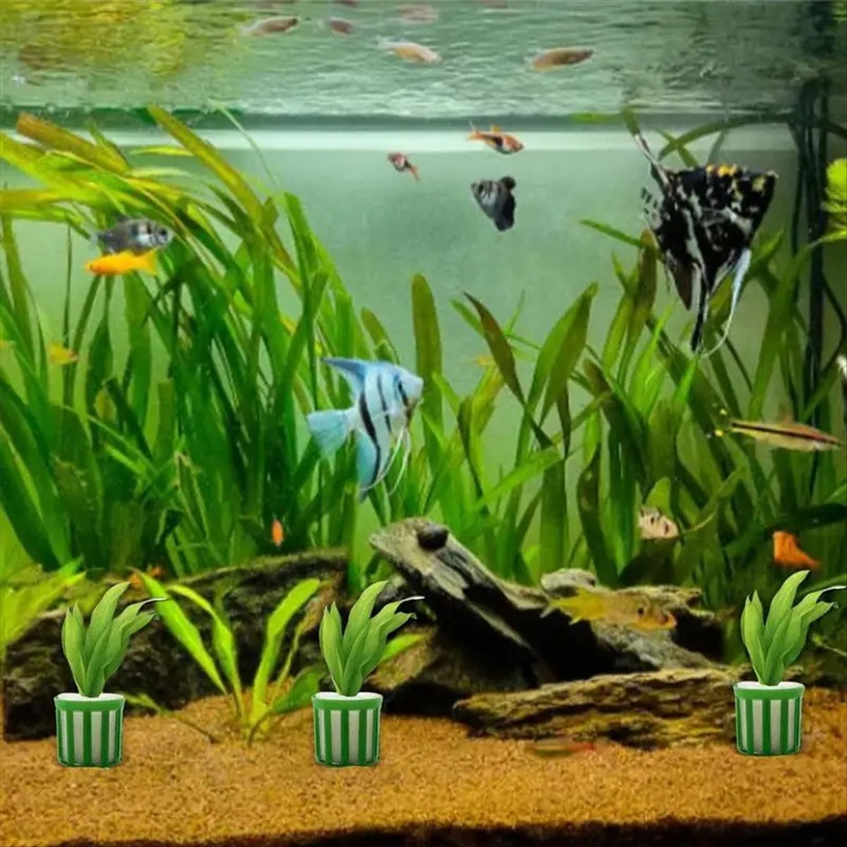 ABNQ Aquatic Plant Fixed Holde - Planted Aquarium Tool Kit review and price