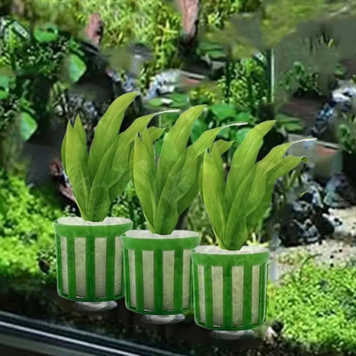 ABNQ Aquatic Plant Fixed Holde - Planted Aquarium Tool Kit review and price