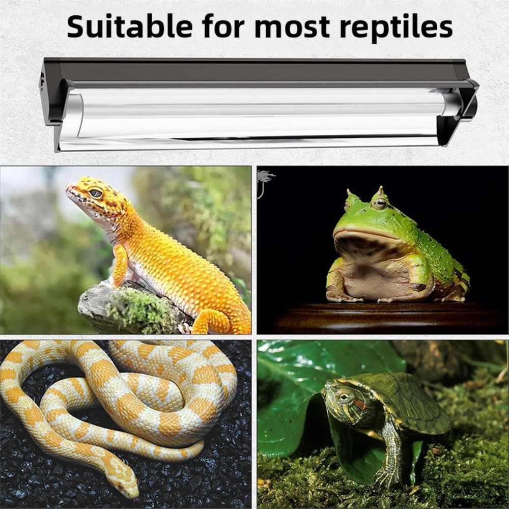 Planted and Reptile Terrarium  - Led Planted Tank Light review and price
