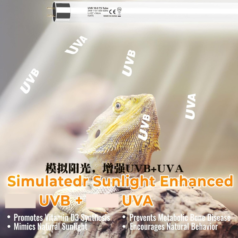 Planted and Reptile Terrarium  - Led Planted Tank Light review and price